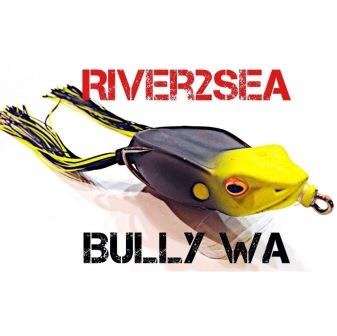 Isca River2Sea Bully Wa II 55 - 5,5cm 12g.