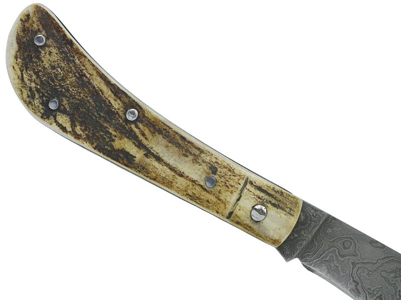 Adelar Filippon Britola para colecionador em aço damasco com empunhadura em chifre de carneiro, 18 cm