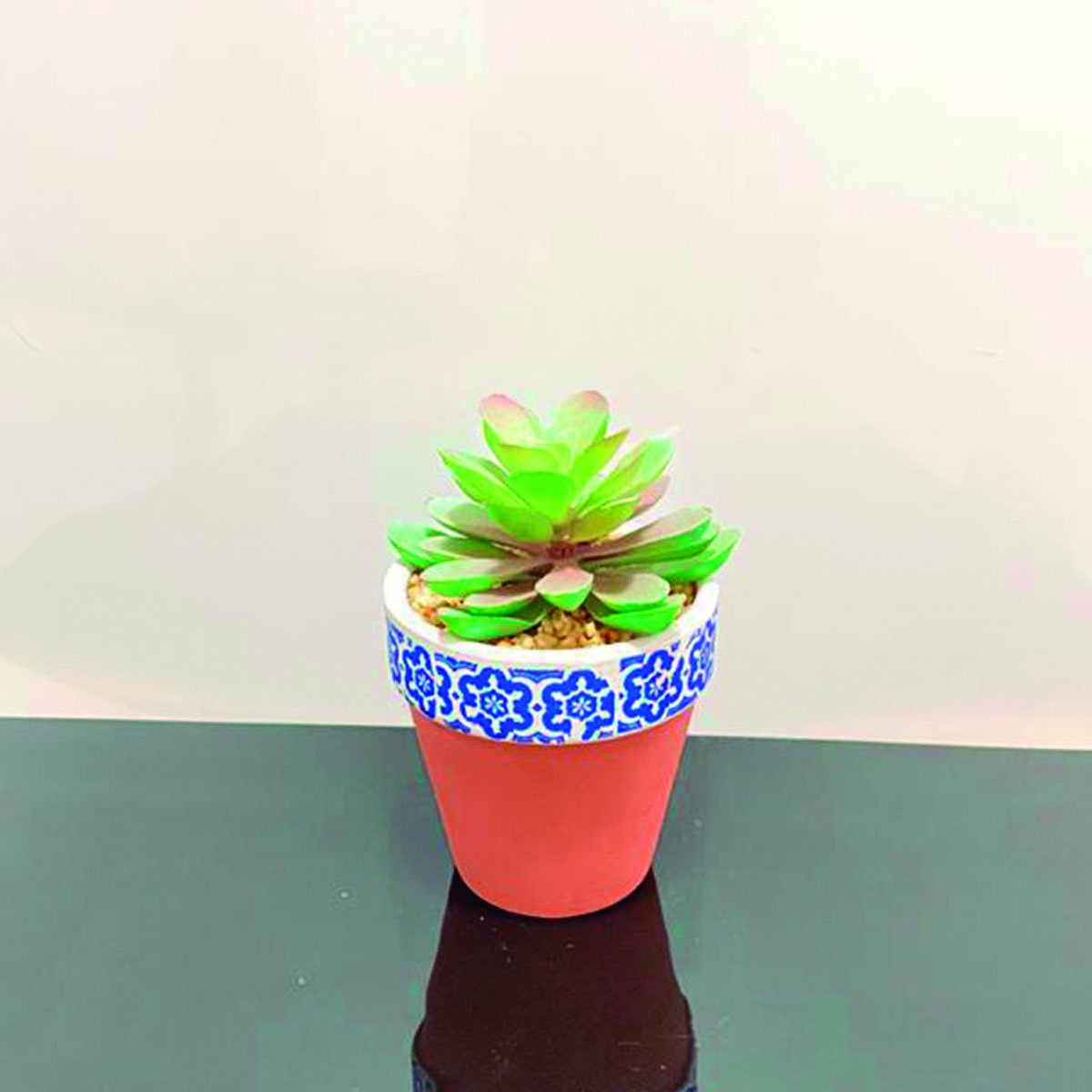 Mini Vaso decorativo suculenta