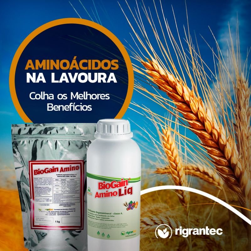 BioGain Amino Liq - Fertilizante com aminoácidos de ação bioestimulante e rico em nitrogênio