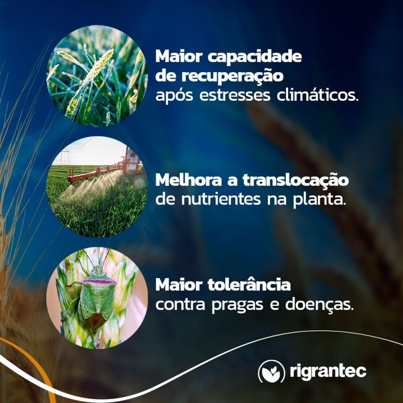 BioGain Amino - Fertilizante em pó com aminoácidos de ação bioestimulante e rico em nitrogênio