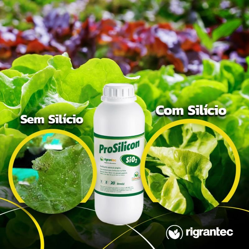 ProSilicon - Fertilizante a base de silicato de potássio com 10% de Silício