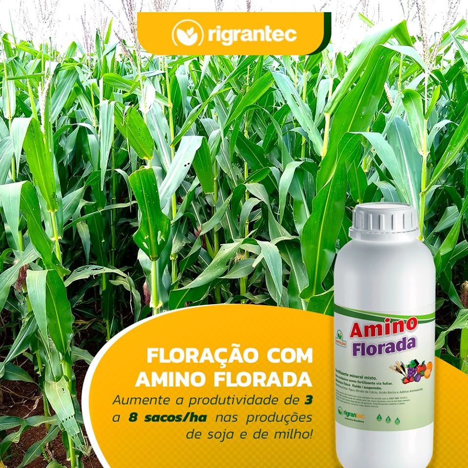 Amino Florada - Fertilizante à base de aminoácidos aditivado com Cálcio e Boro e carreador de nutrientes