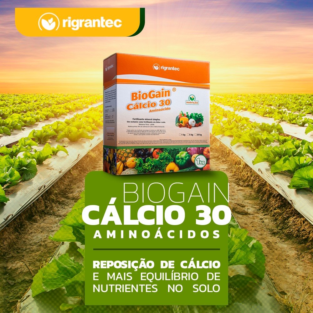 BioGain Cálcio 30 - Fertilizante à base de aminoácidos com ação bioestimulante e aditivado com Ca