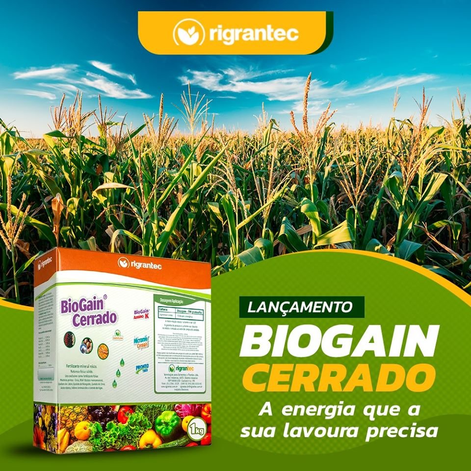 BioGain Cerrado - Fertilizante com ação bioestimulante à base de algas e aminoácidos, aditivado com NPK e quelatos