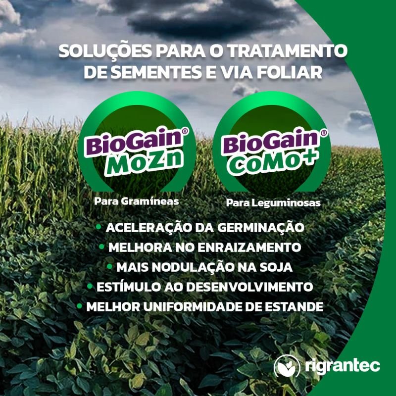 BioGain CoMo+ - Fertilizante foliar ou via semente à base de extrato de algas e aditivado com Co e Mo