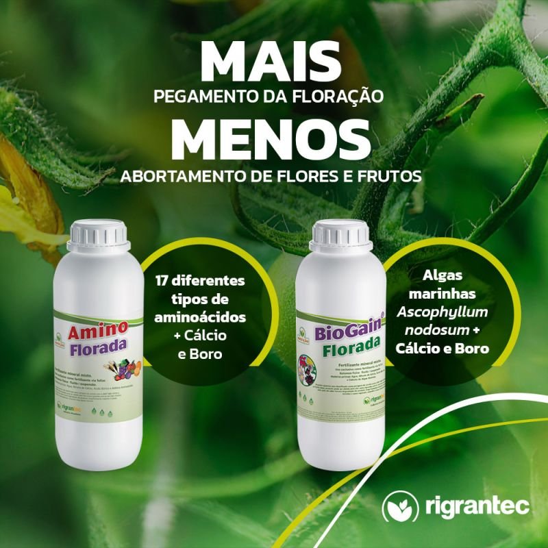 BioGain Florada - Fertilizante com ação bioestimulante à base de algas marinhas enriquecido com Ca e B