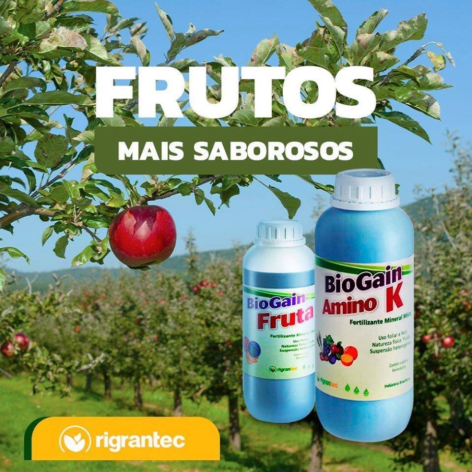 BioGain Fruta - Fertilizante à base de aminoácidos para alongamento de cachos com Mo, B e Zn quelatizados