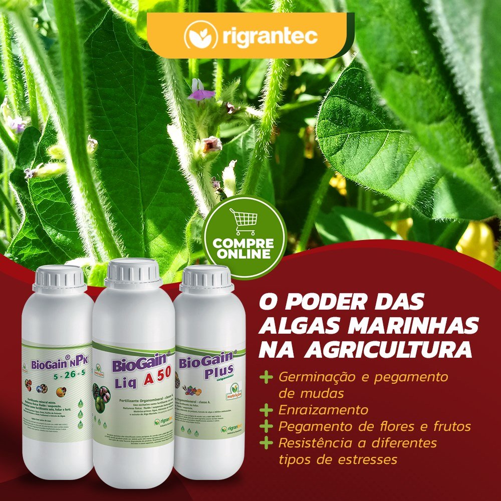 BioGain Liq A 50 - Fertilizante líquido à base de algas 100% Ascophyllum Nodosum com forte ação bioestimulante