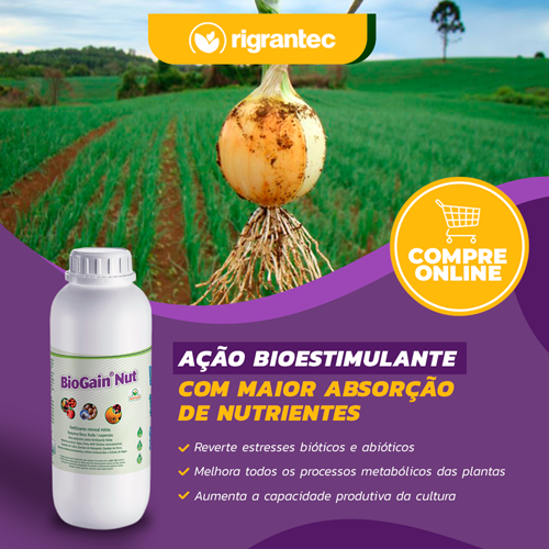 BioGain Nut - Fertilizante com ação bioestimulante à base de algas, aminoácidos com micronutrientes quelatados