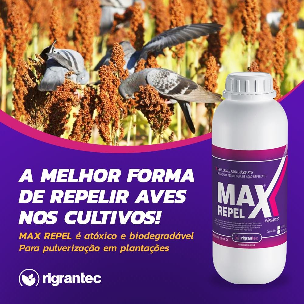 Max Repel Pássaros - Repelente ecológico de pássaros, biodegradável e atóxico para pomares e lavouras