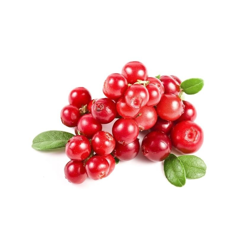 Cranberry Desidratada com Suco de Maçã 100g
